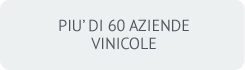 aziende vinicole