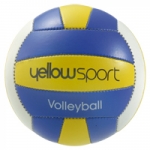 Palla da volley