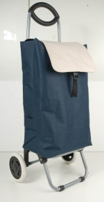 Carrello della spesa promozionale