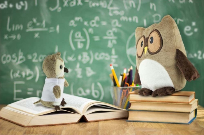 Portachiavi peluche 5