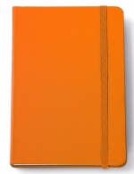 Taccuini  8