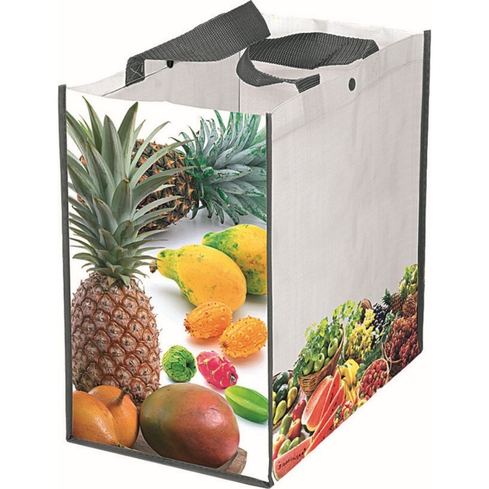 Shopper Polipropilene 4