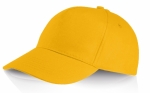 Cappellini Baseball 5