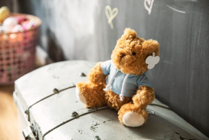 Peluche Teddy Bear 2