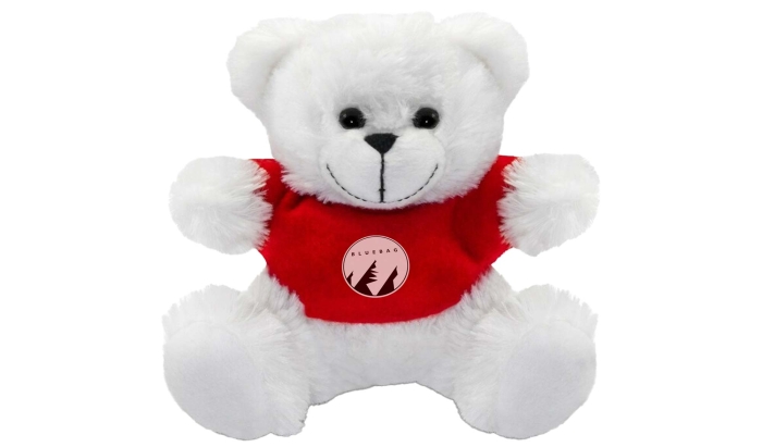 Teddy Bear Promozionali